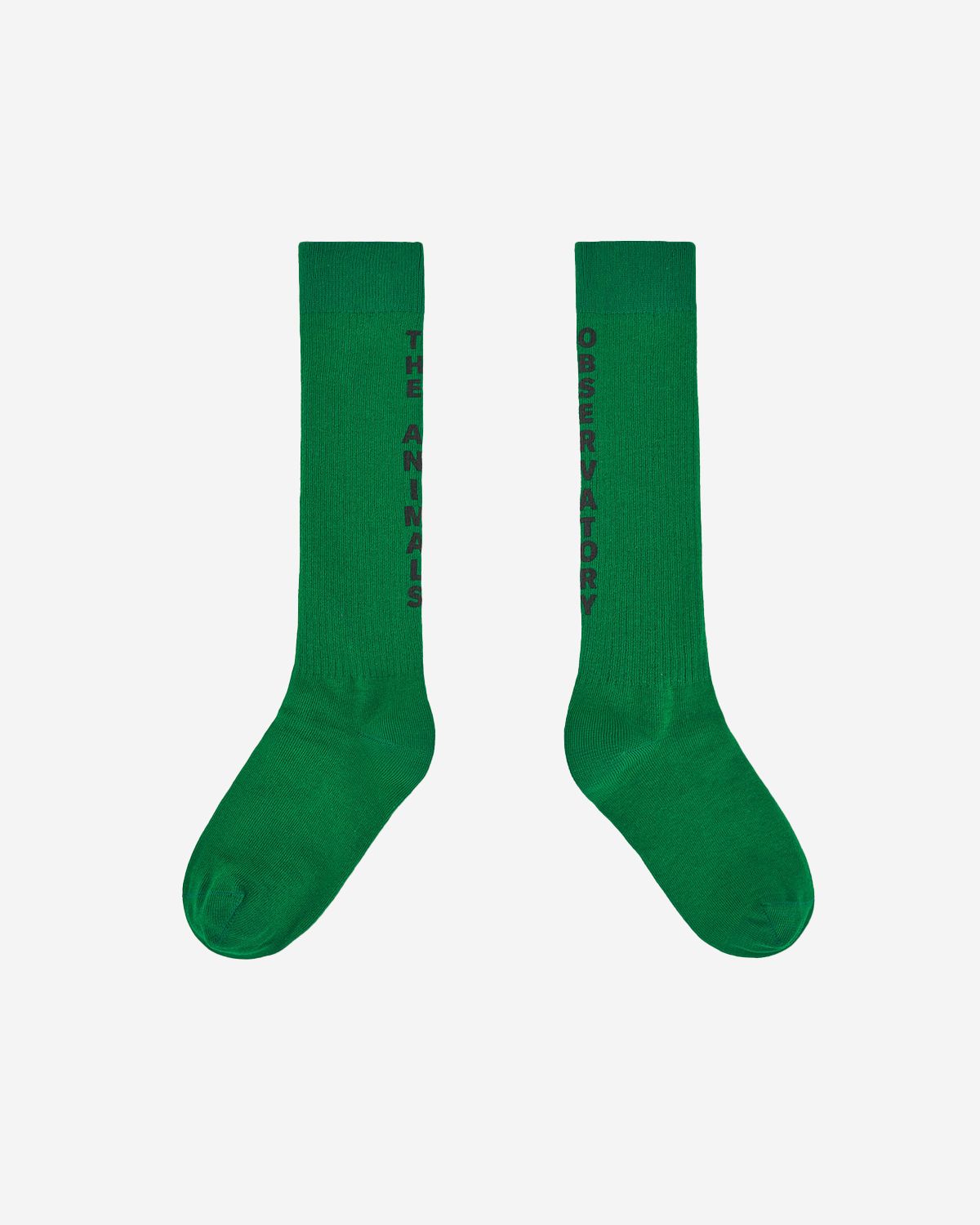 GREEN WORM SOCKS