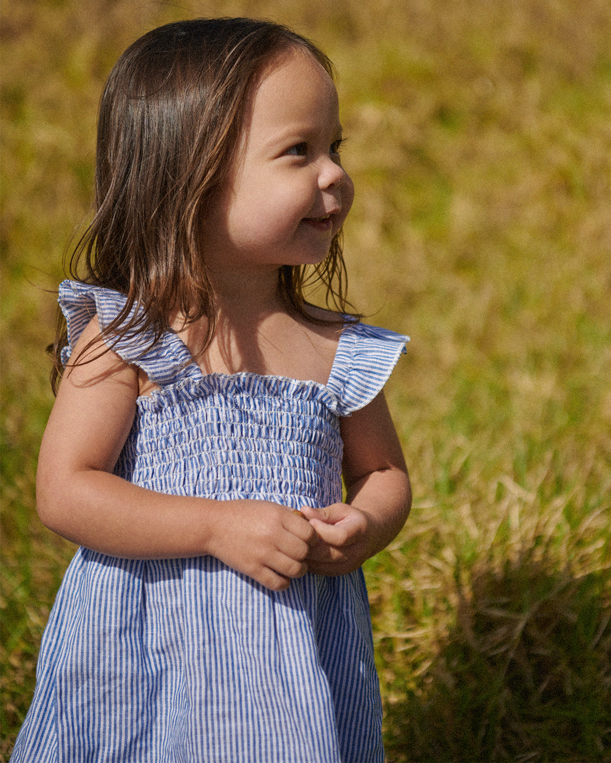 GALA DRESS LINEN - BLUE STRIPE