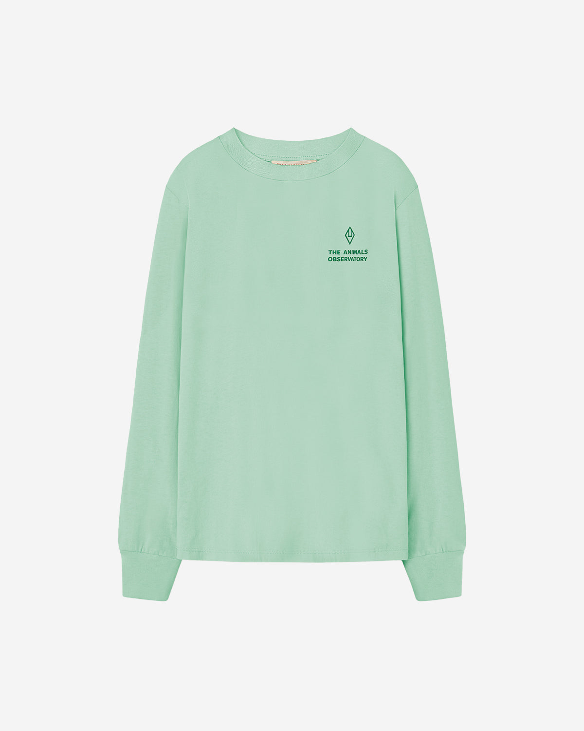 TURQUOISE ARIES KIDS LONG SLEEVE T-SHIRT