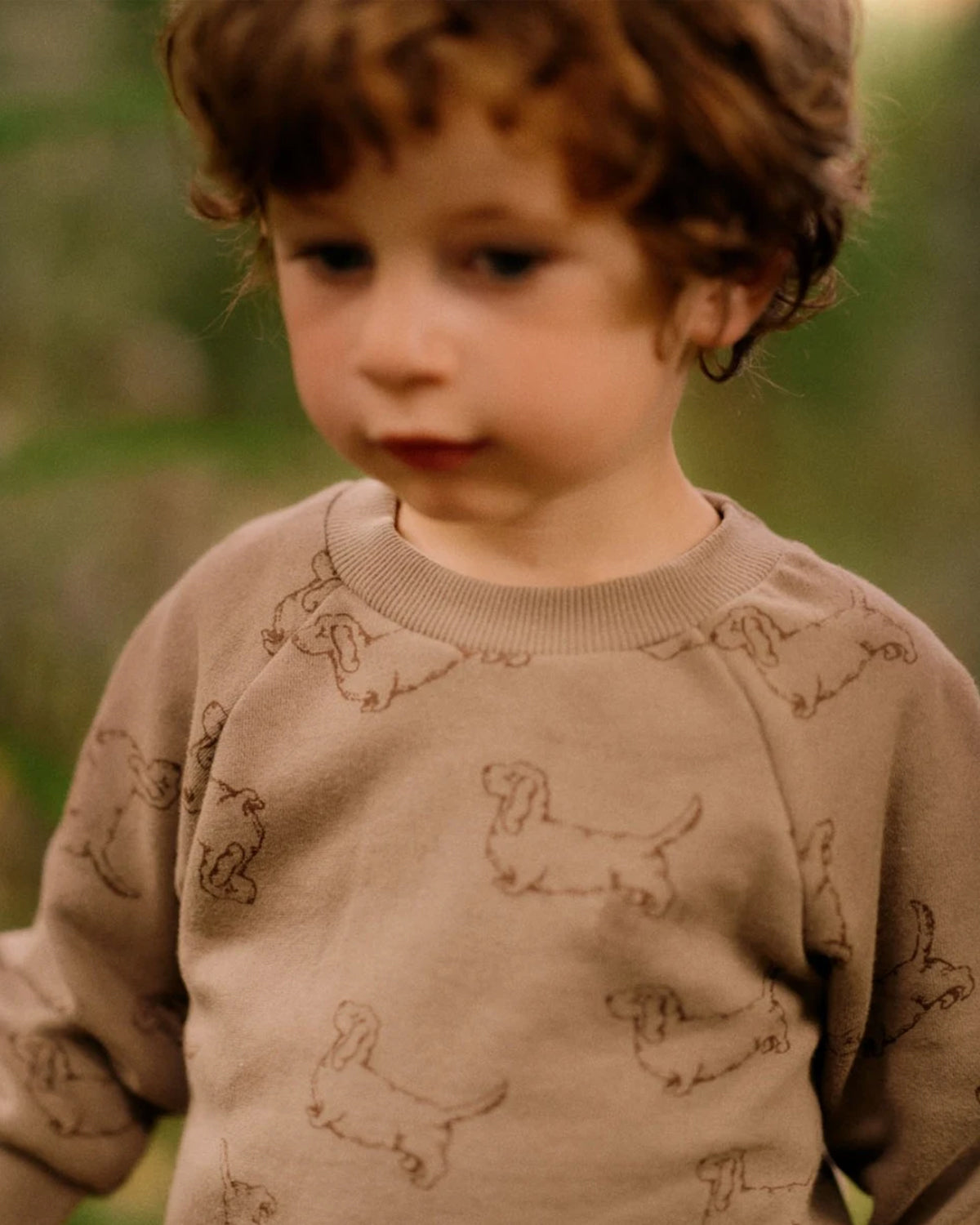 EMERSON SWEATER - HAPPY HOUNDS PRINT