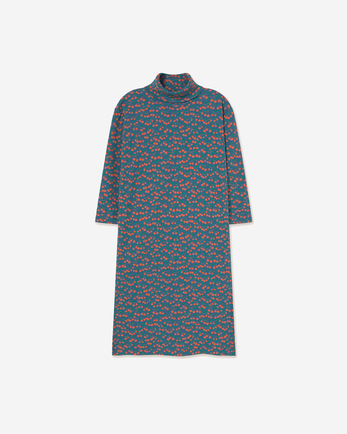 MINI APPLES RIB TURTLENECK DRESS