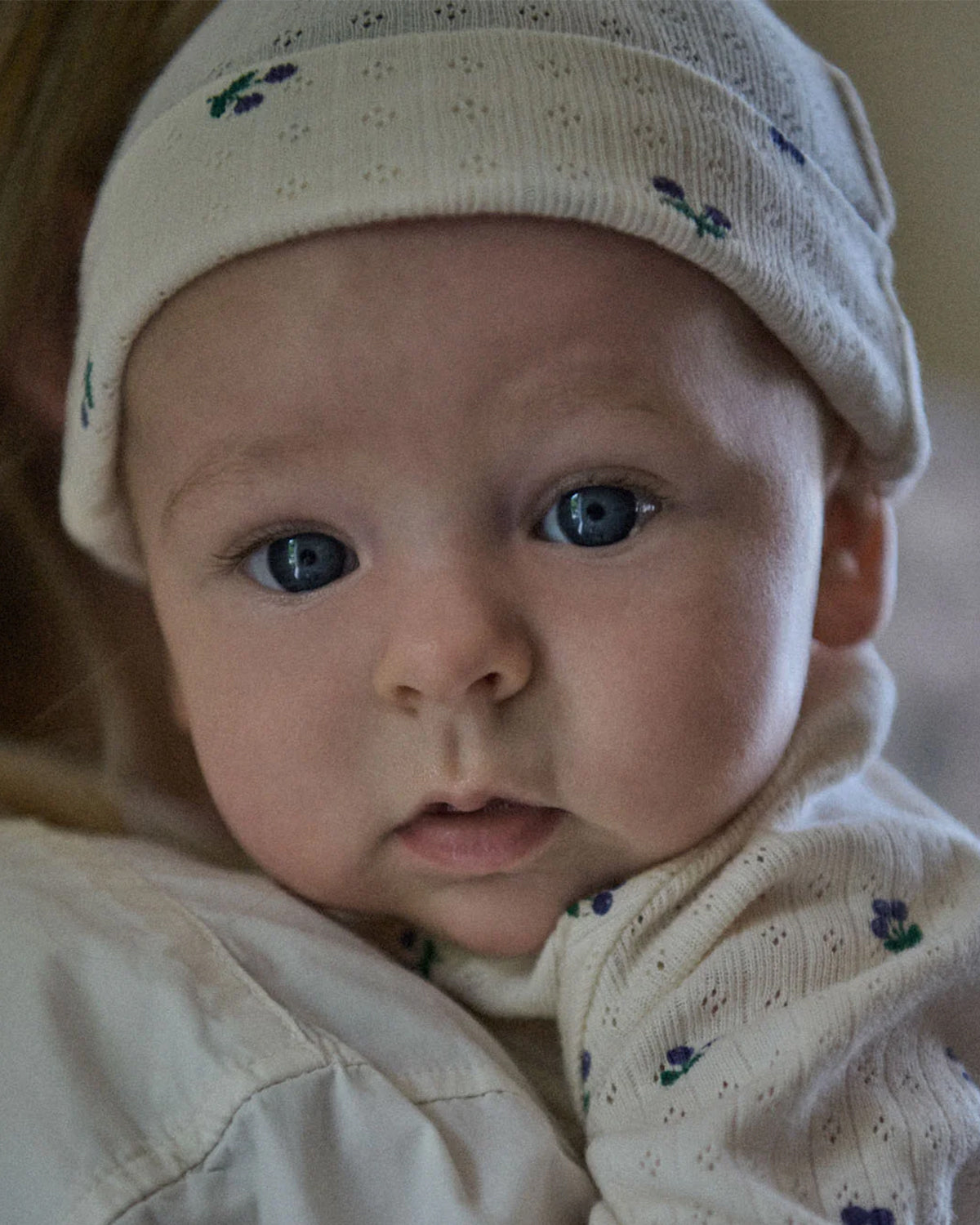KNOTTED BEANIE POINTELLE - WINTER BERRY PRINT