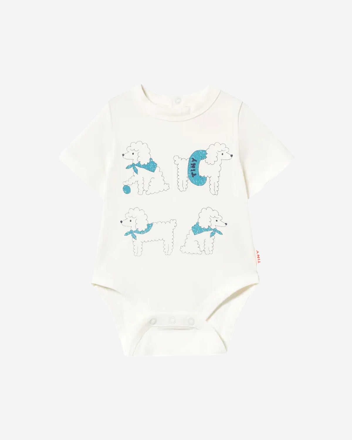 POODLE GRAPHIC BODY
