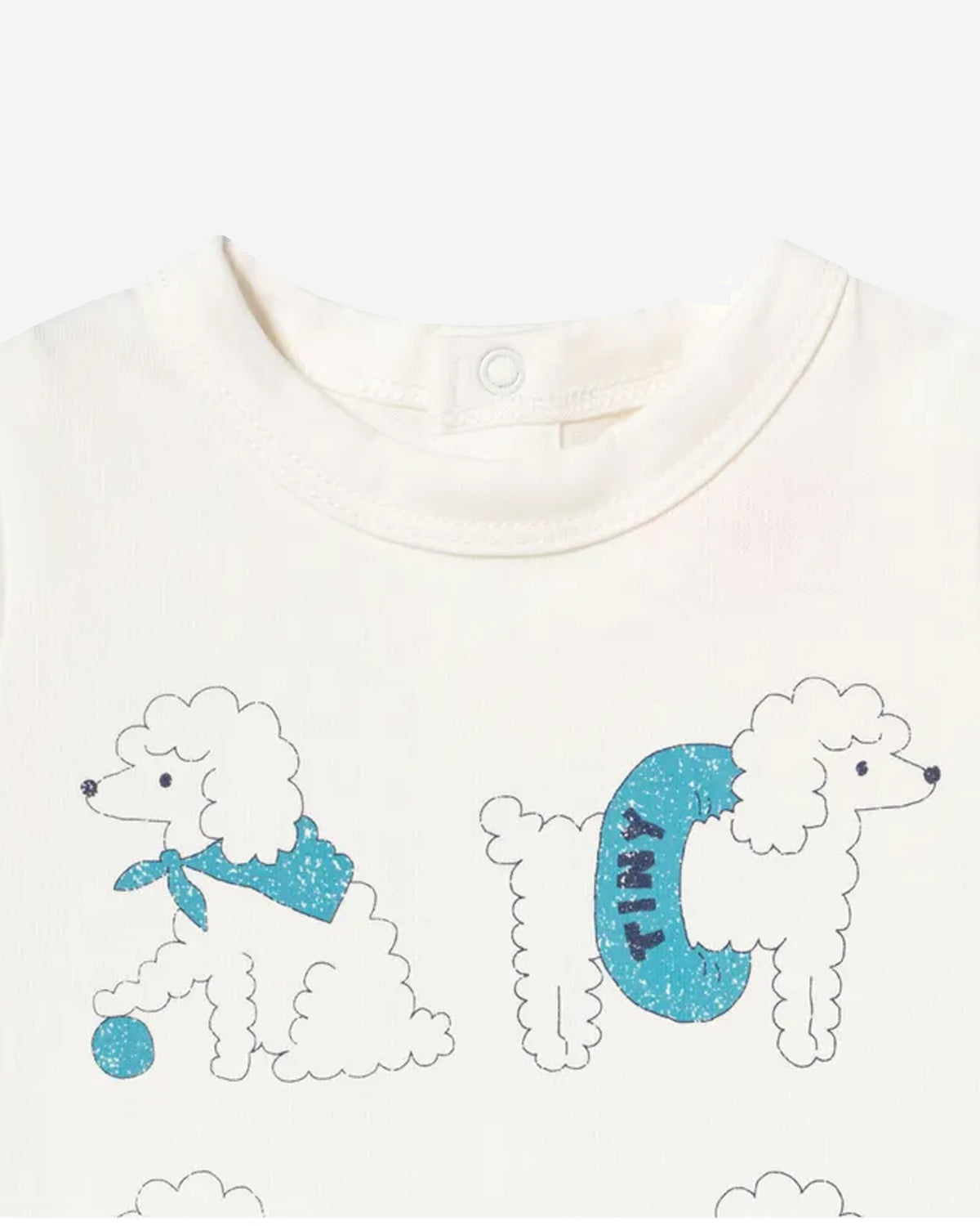 POODLE GRAPHIC BODY