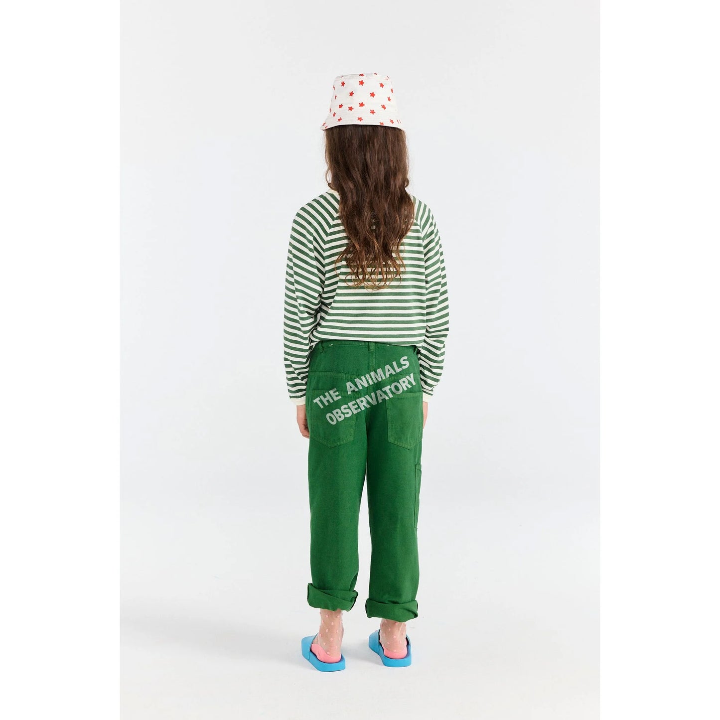 STRIPED DARK GREEN ANTEATER LONG SLEEVE T-SHIRT