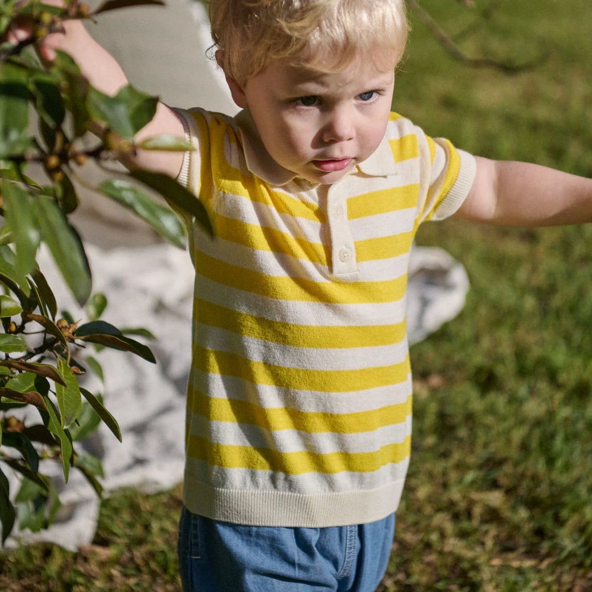 STEVIE POLO - SUNNY BOLD STRIPE