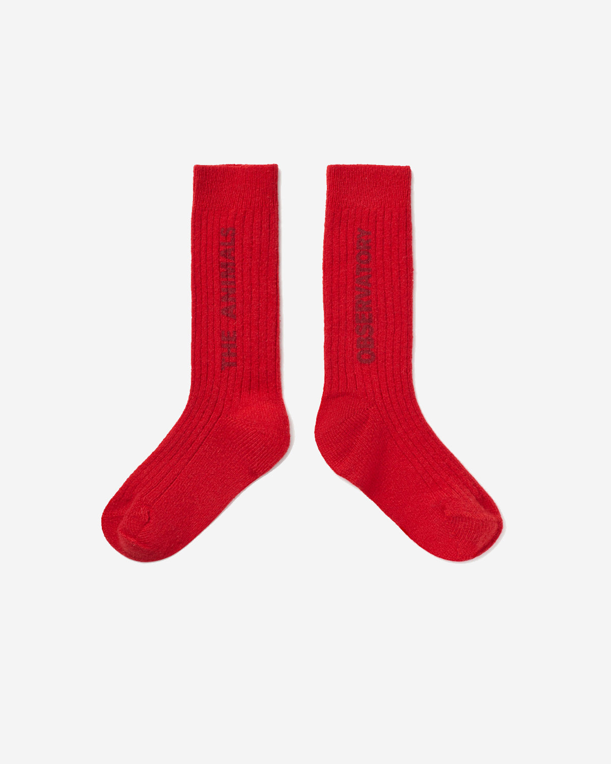 SNAIL SOCKS RED