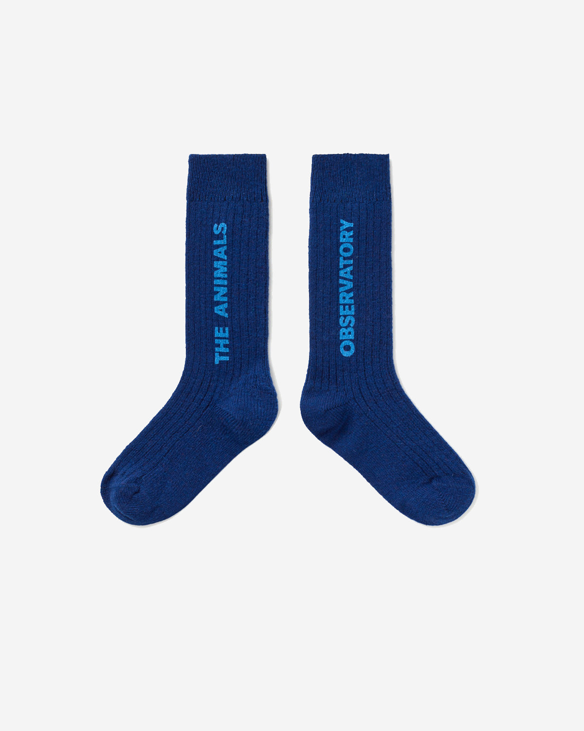 SNAIL SOCKS BLUE
